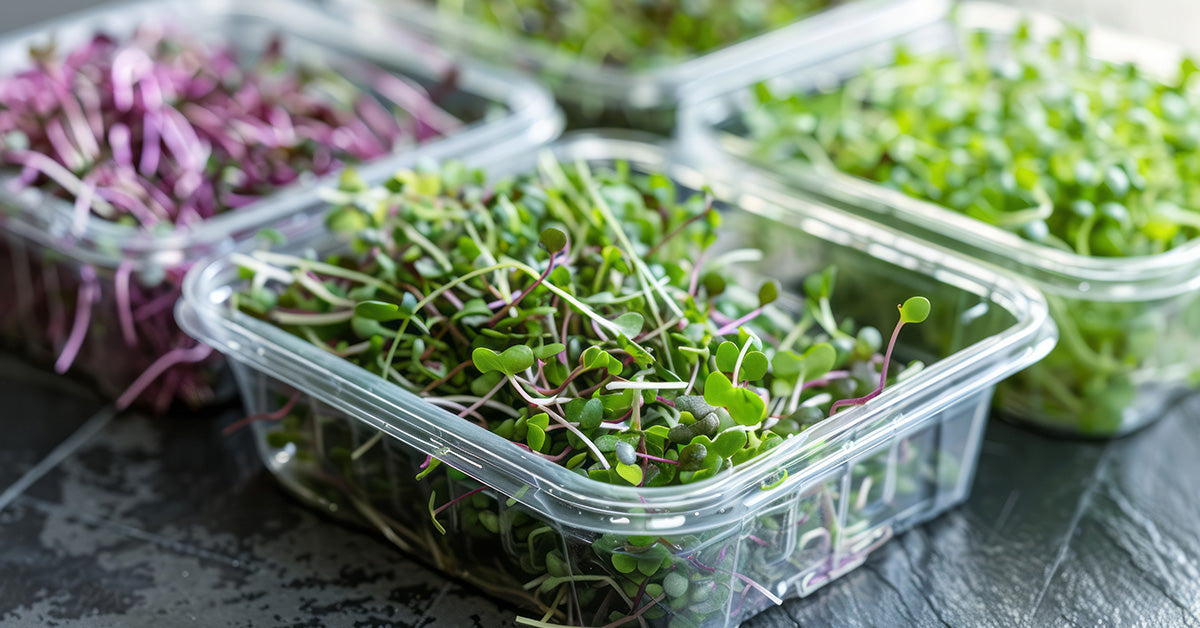 Rise & Sprout Farms